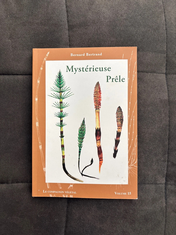 Mystérieuse prêle - Bernard Bertrand