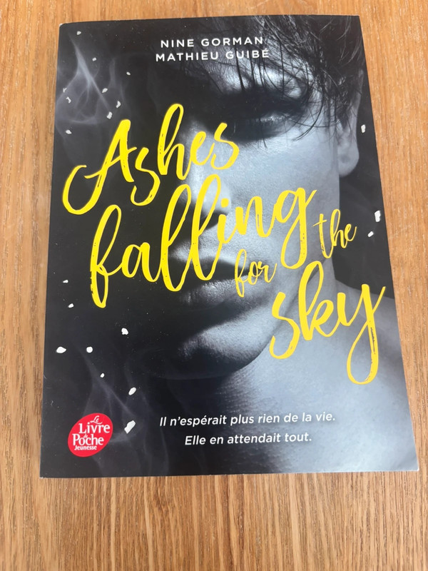 Livre Ashes falling fit the Sky