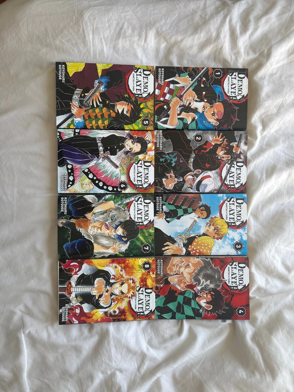 livre démon slayer