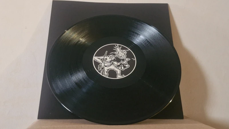 Hallucidite HS 24 2*12 double vinyles 🔒 prix non négociables