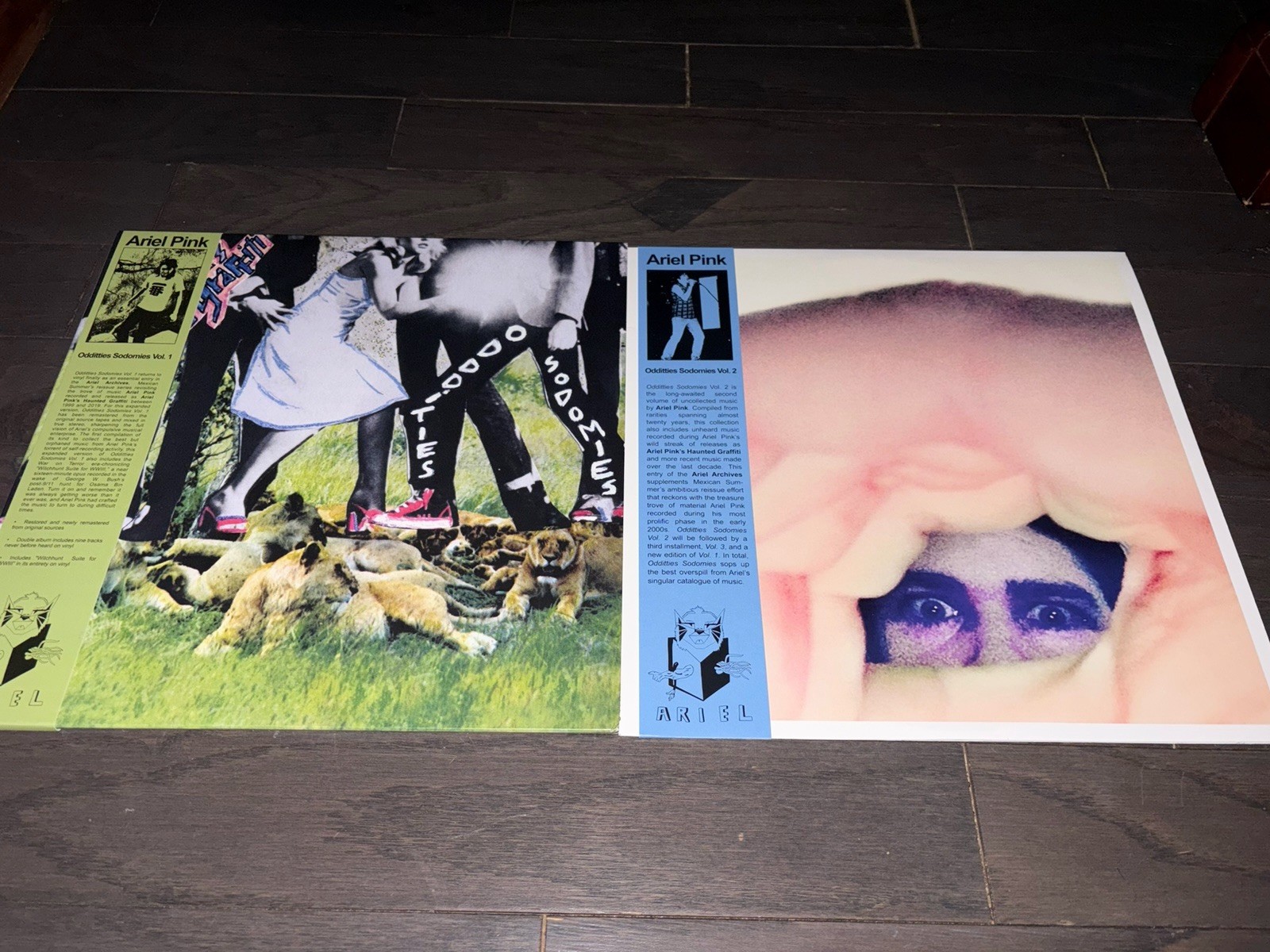 Ariel Pink Odditties Sodomies Vol. 1 & Vol. 2 Vinyl Reissues Part Time John Maus