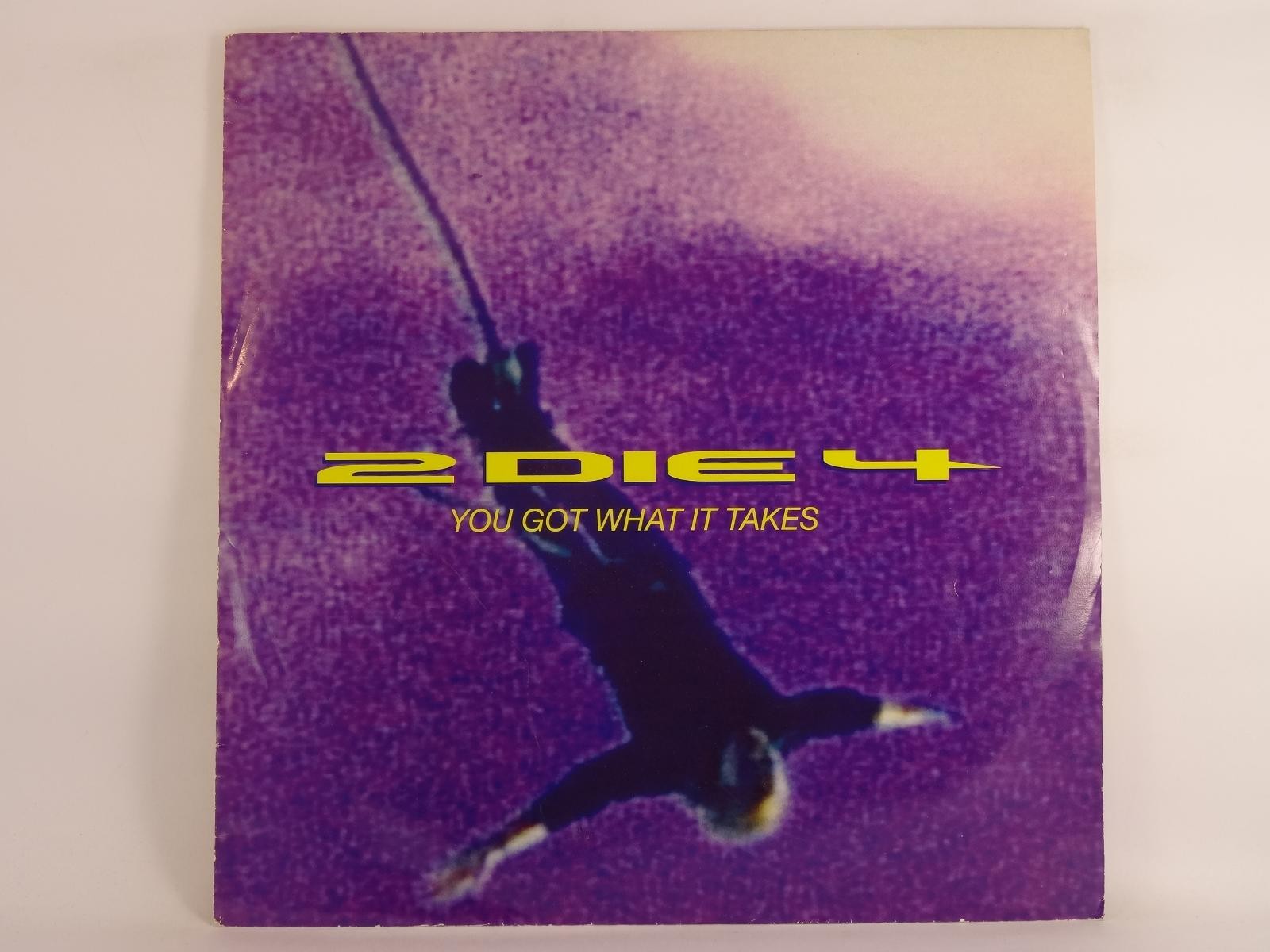 2 DIE 4 YOU GOT WHAT IT TAKES (PURPLE VINYL) (175) 3 Track 12" Single including 