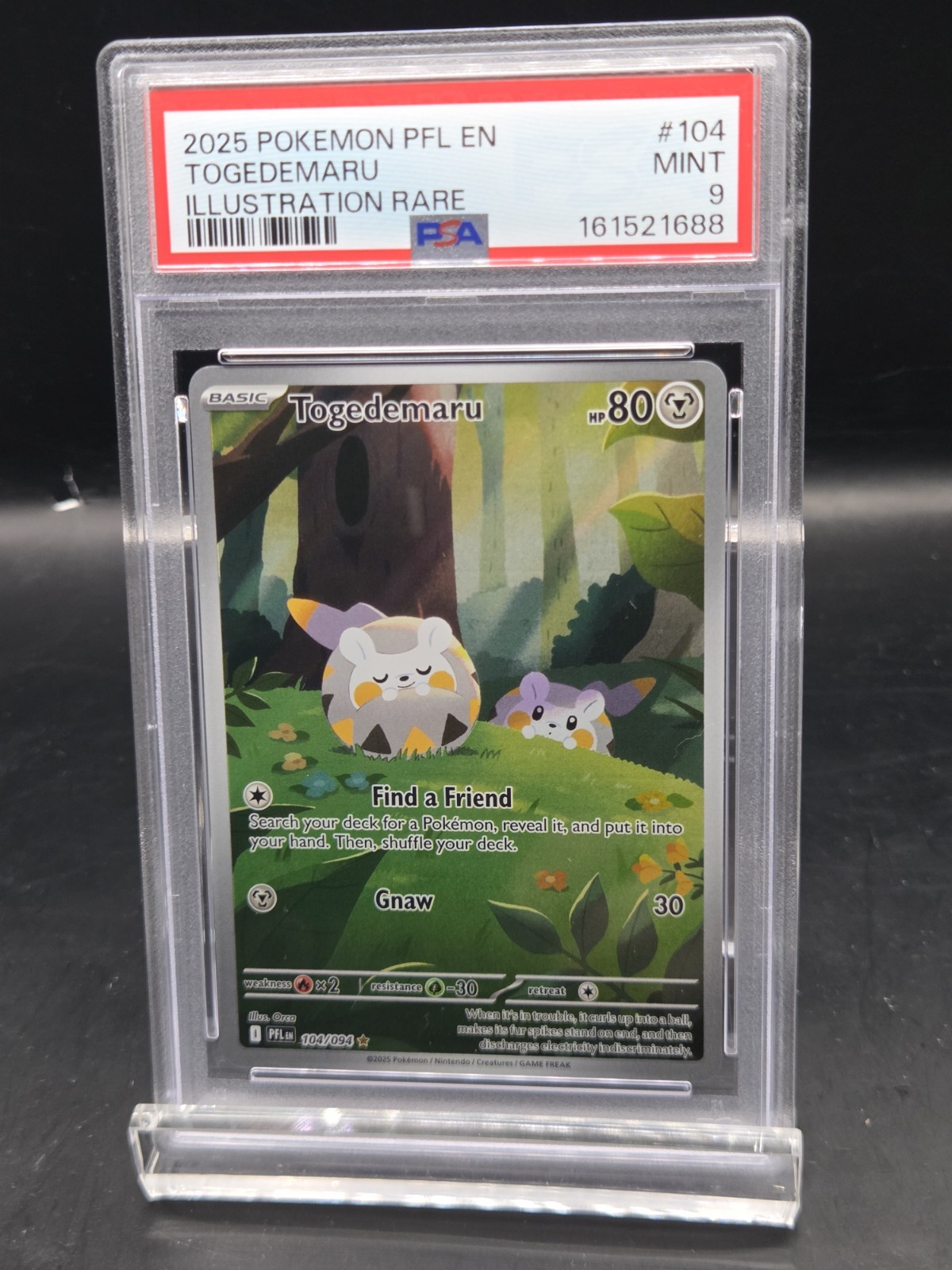 2025 Pokemon PFL Togedemaru Illustrazione Rara PSA 9 MINT #104/094