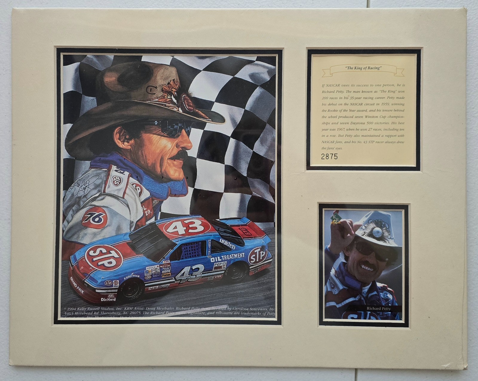 Stampa da collezione Richard Petty NASCAR 1994 ~ NUOVA