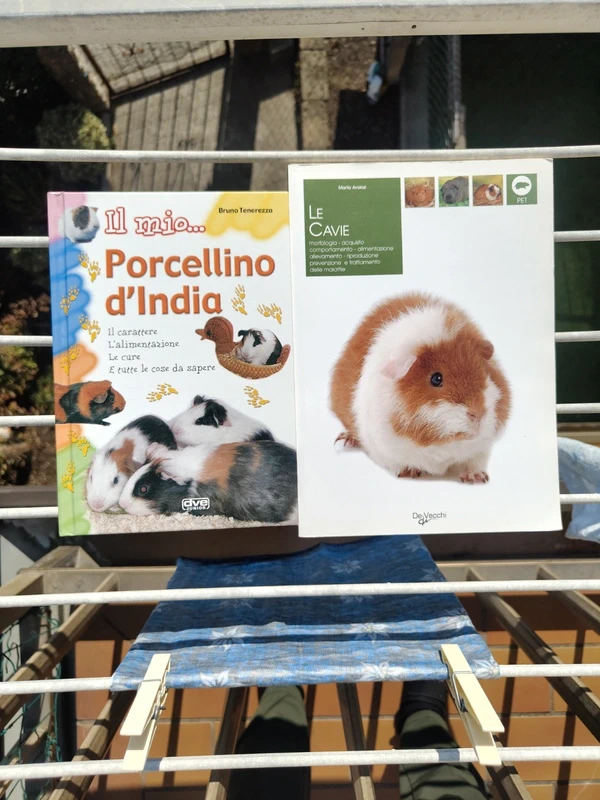 2 libri Cavie Porcellini d'India