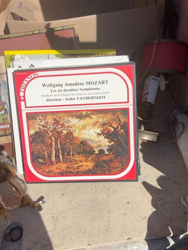 Vinyle Wolfgang Amadeus Mozart