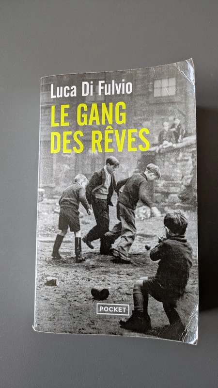 Luca di fulvio