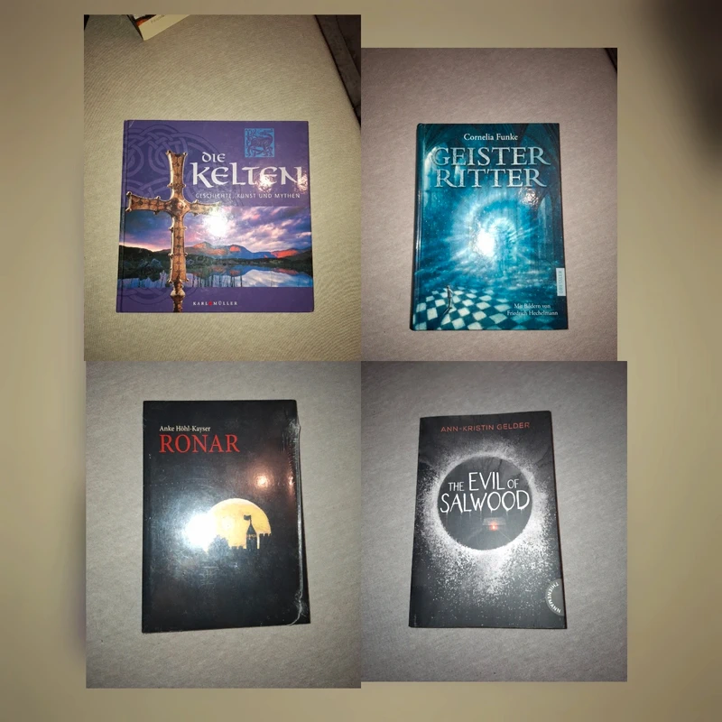 Buch set die Kelten Geister Ritter the evil of salwood ronar Geschichte Kunst Mythen