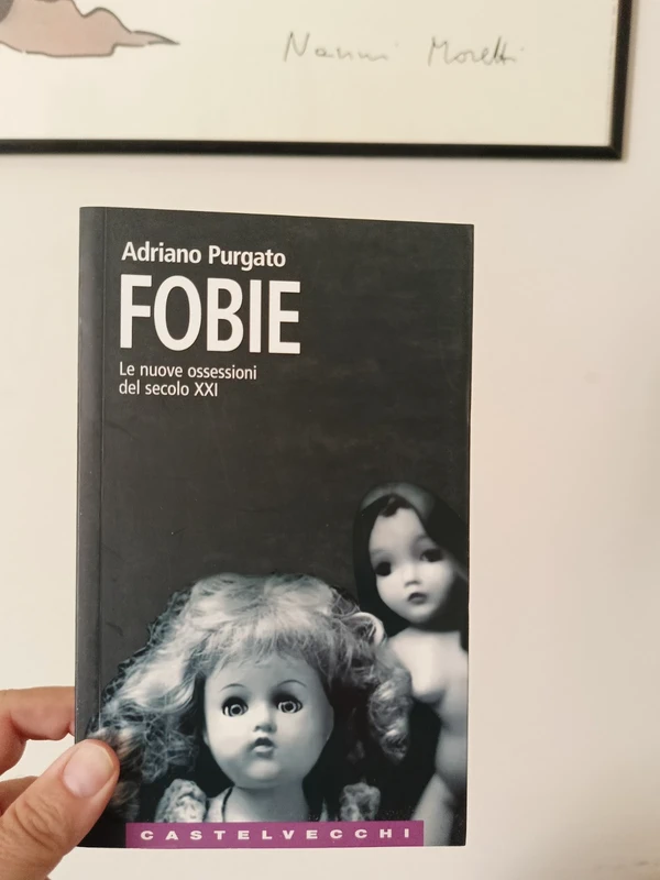Fobie. Le nuove ossessioni del XXI secolo Adriano Purgato (Fuori Catalogo)
