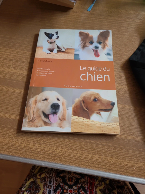 Le guide du chien