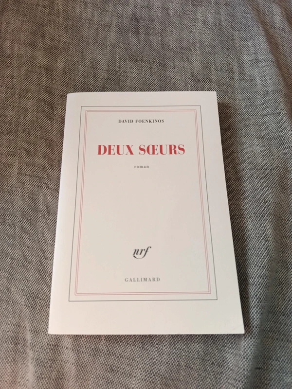 Deux soeurs (French Edition) - David Foenkinos