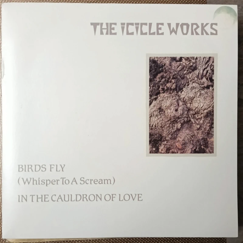 The icycle works Birds fly