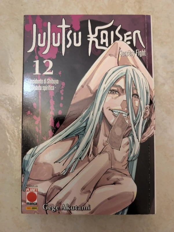 Jujutsu Kaisen Sorcery Fight 12 - Gege Akutami