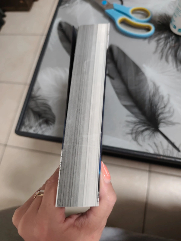 Livre A nobody in neverland
