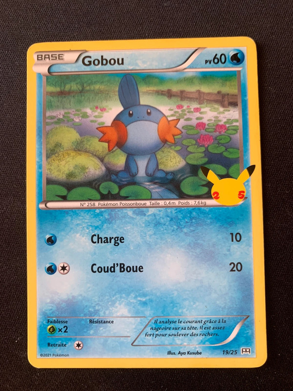 Carte Pokémon Gobou Mcdonald 2021