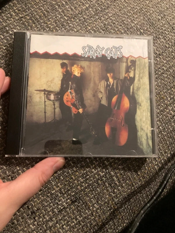Cd stray cats
