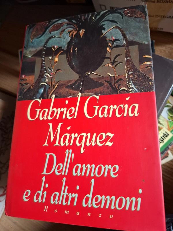 Libro dell'amore e di altri demoni