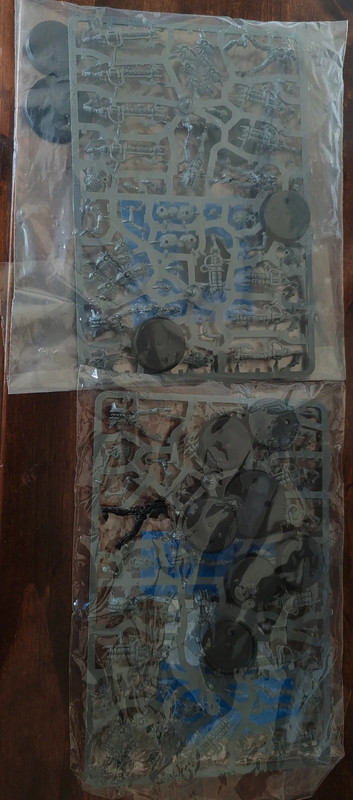 Warhammer 40k Necrons Warriors