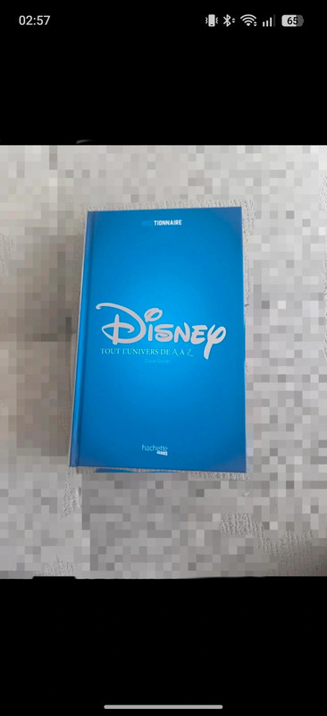 Livre Dictionnaire Disney