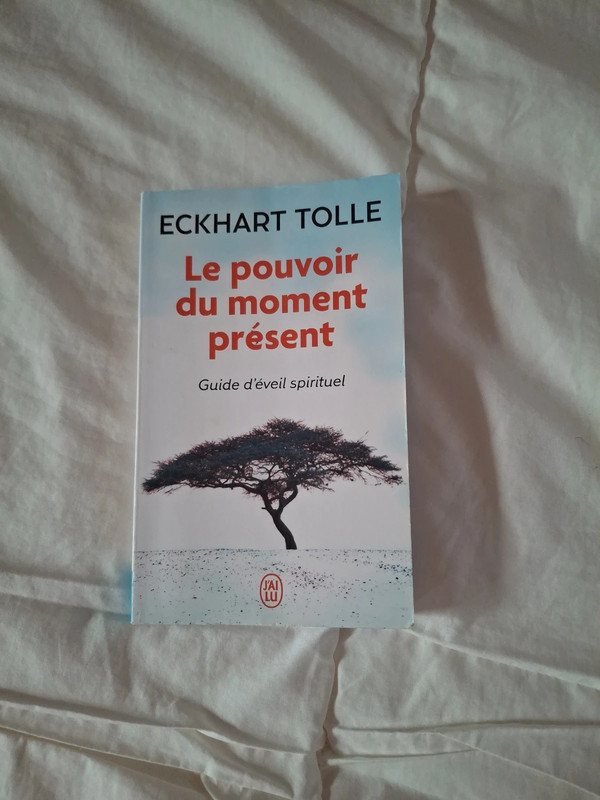 Échantillons Tolle - Le pouvoir du moment présent