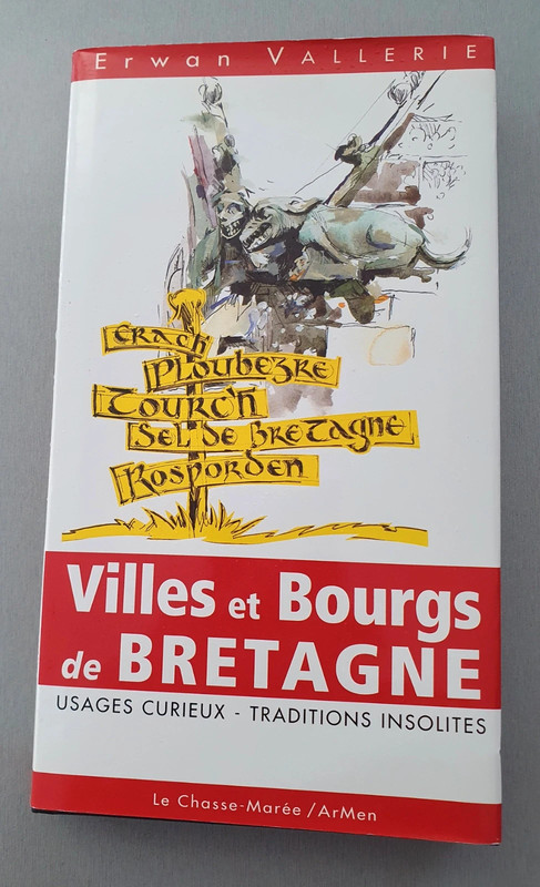 Villes et bourgs de Bretagne 
Erwan Vallerie