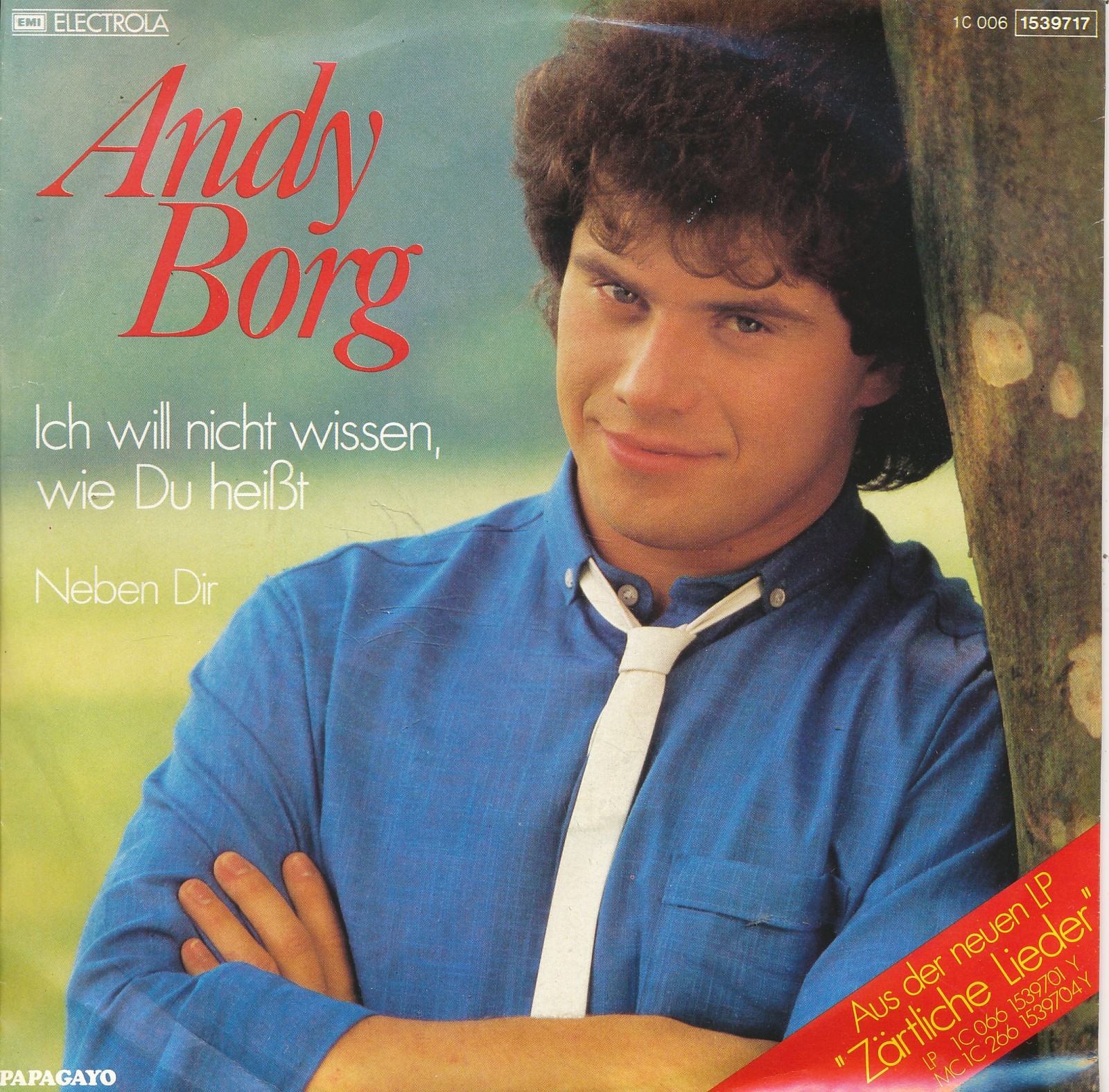 Ich will nicht wissen, wie du heißt - Andy Borg - Single 7" Vinyl 264/12