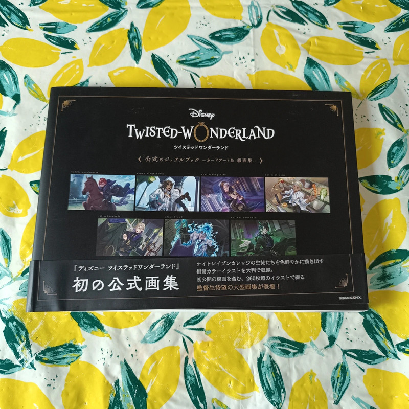 Twisted Wonderland Visual Card Art and Line Drawing Collection Japan