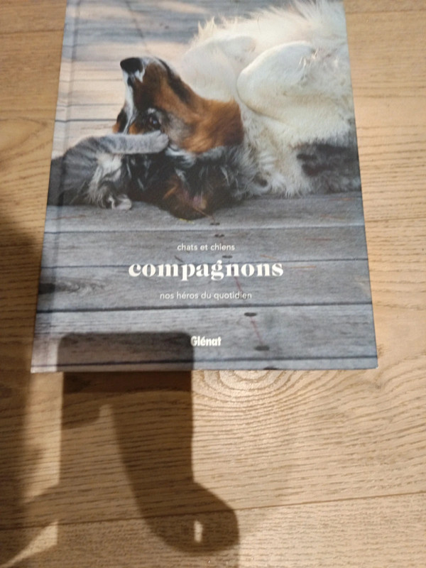 Chats et chiens compagnons nos héros