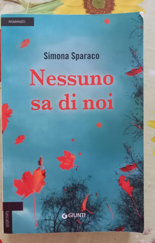 Nessuno sa di noi -  Simona Sparaco