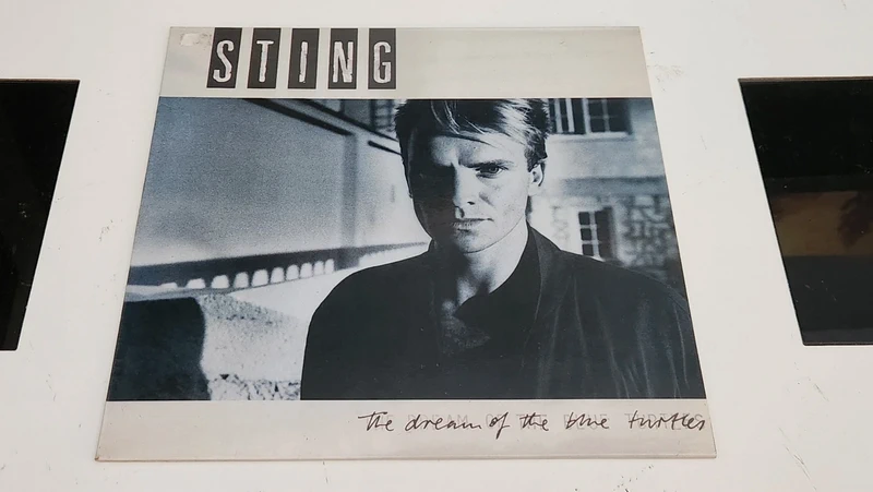 Sting