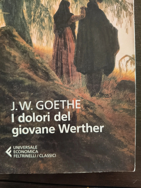 I dolori del giovane Werther