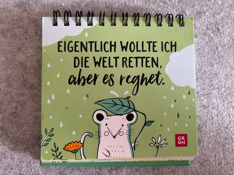 Eigentlich wollte ich die Welt retten, aber es regnet -Spiralbuch/ Geschenk