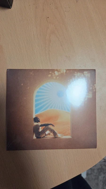 Reezy Born spinner CD (Vb)