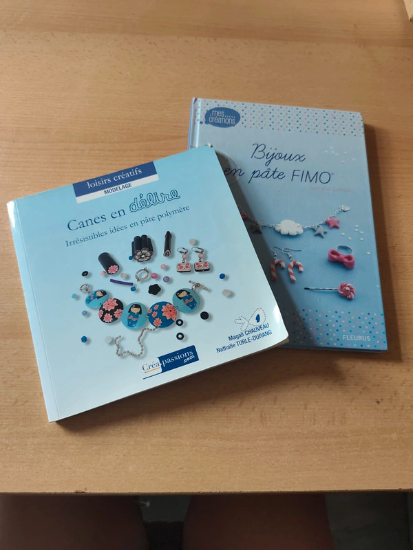Livres pâtes Fimo