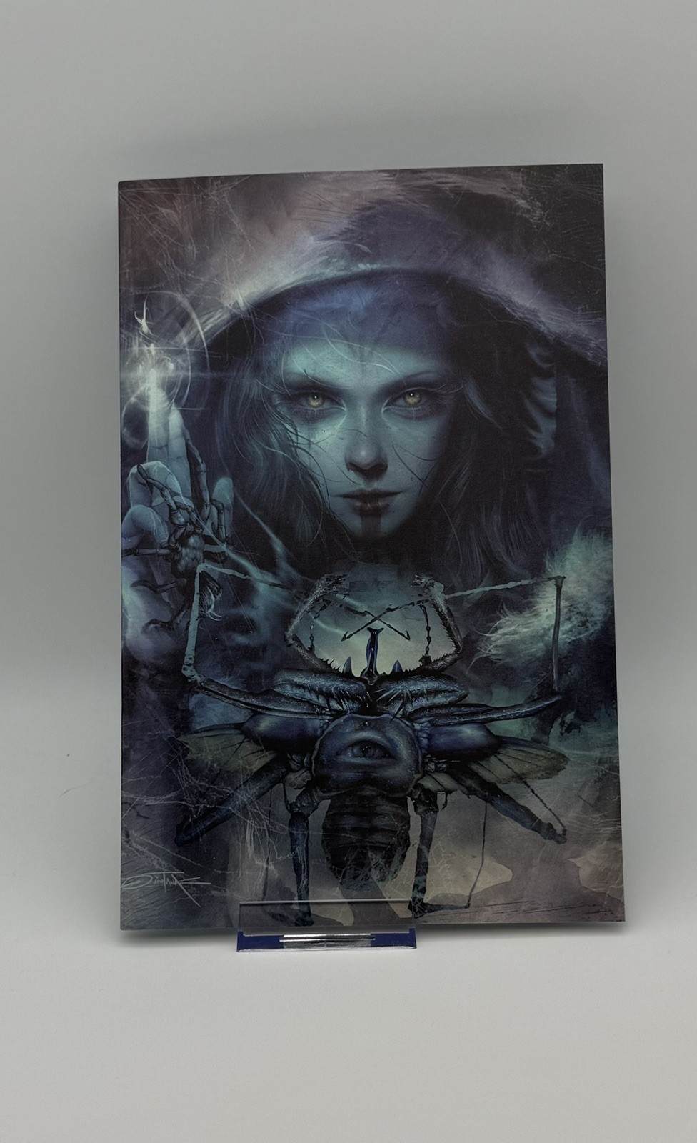 WE DON'T KILL SPIDERS #1 Dan Quintana SDCC 2026 LTD 700 variante quasi nuovo+