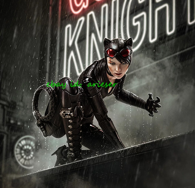 Yuanye Culture Arkham Knight Catwoman 1/12 Assembly Model Action Figure New