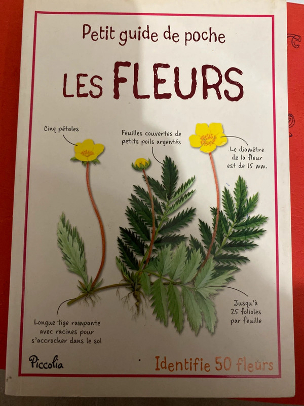 Les fleurs