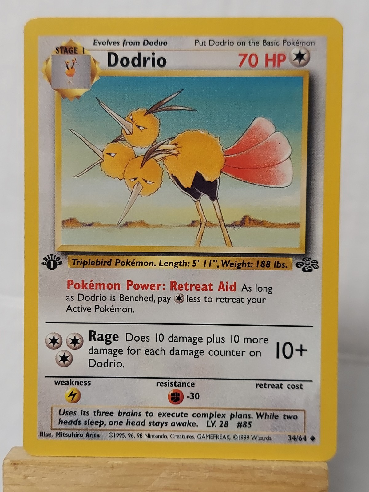 Pokémon TCG Non Comune Dodrio 034/064 Prima Edizione Jungle Regular LP