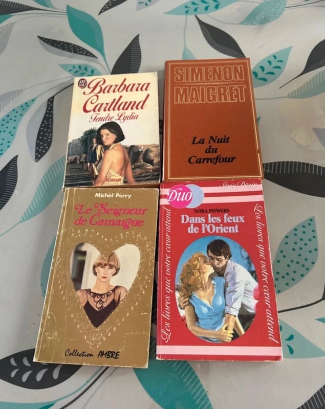 Lot de 4 livres /romans