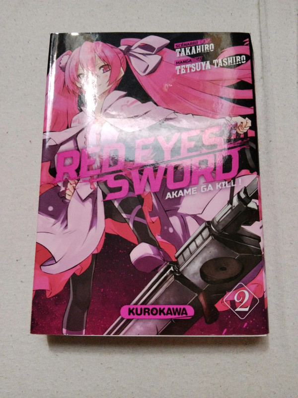 Red eyes sword tome 2
