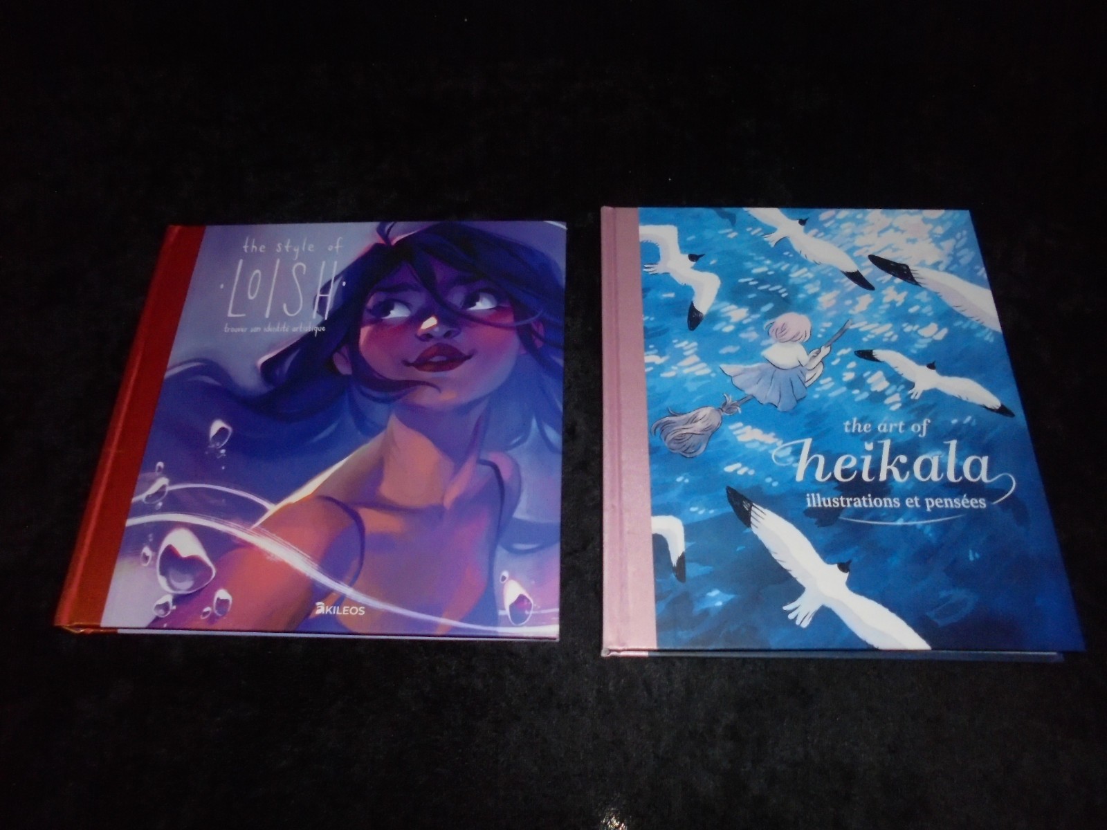 Lot Artbook The Art of Heikala / The Style of Loish EO Akiléos DL 01/2024