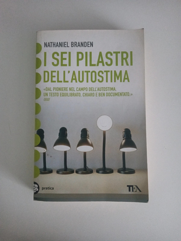 I sei pilastri dell'autostima
