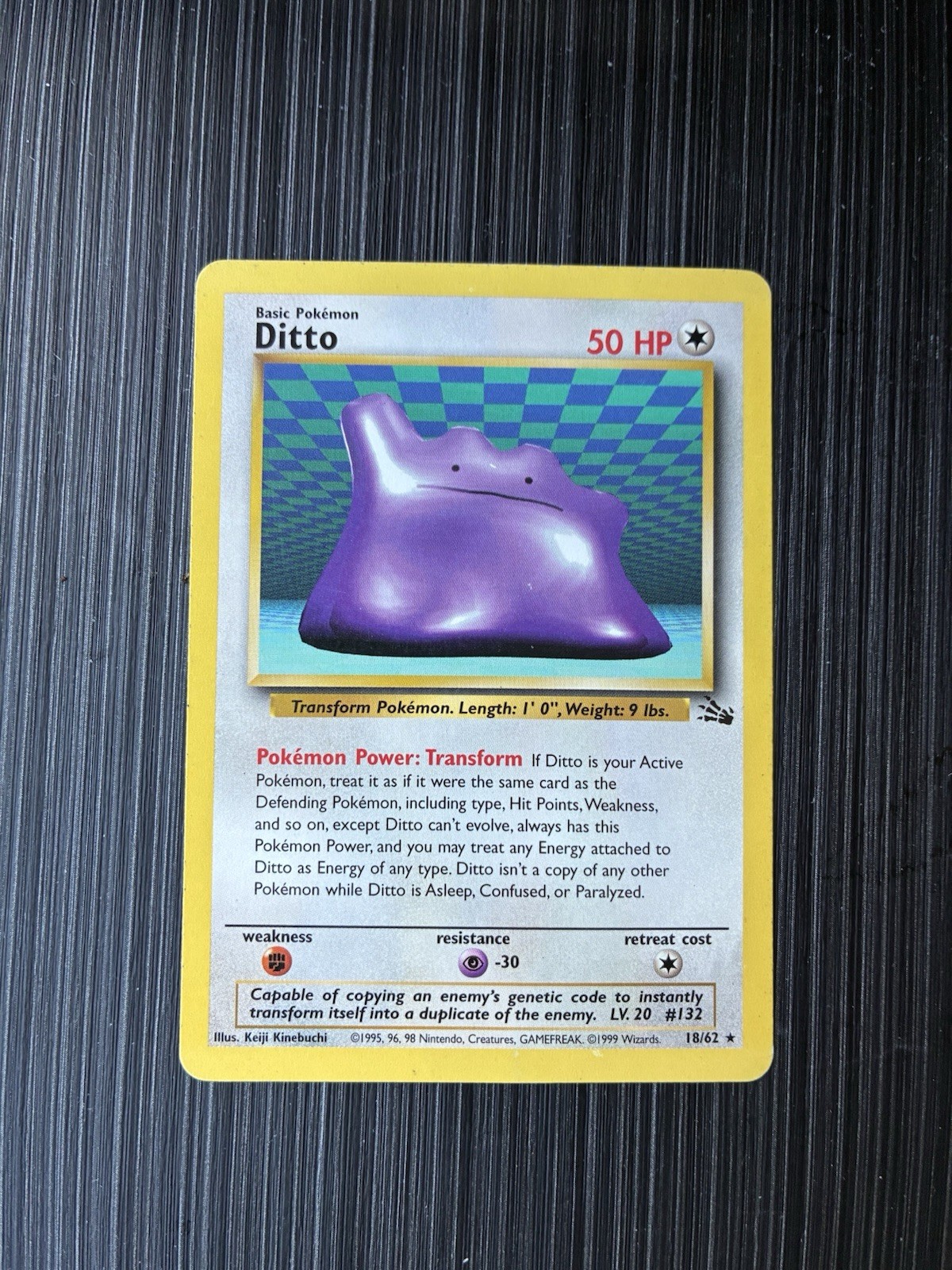 Fossil  Ditto 