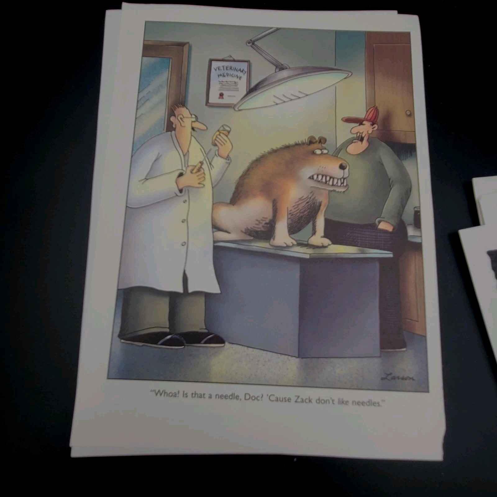 The Far Side Art Gary Larson "ZACK DON'T LIKE NEEDLES"6,5" X 9" Pagina da incorniciare