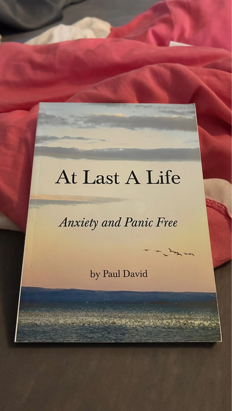 At Last a Life Boek