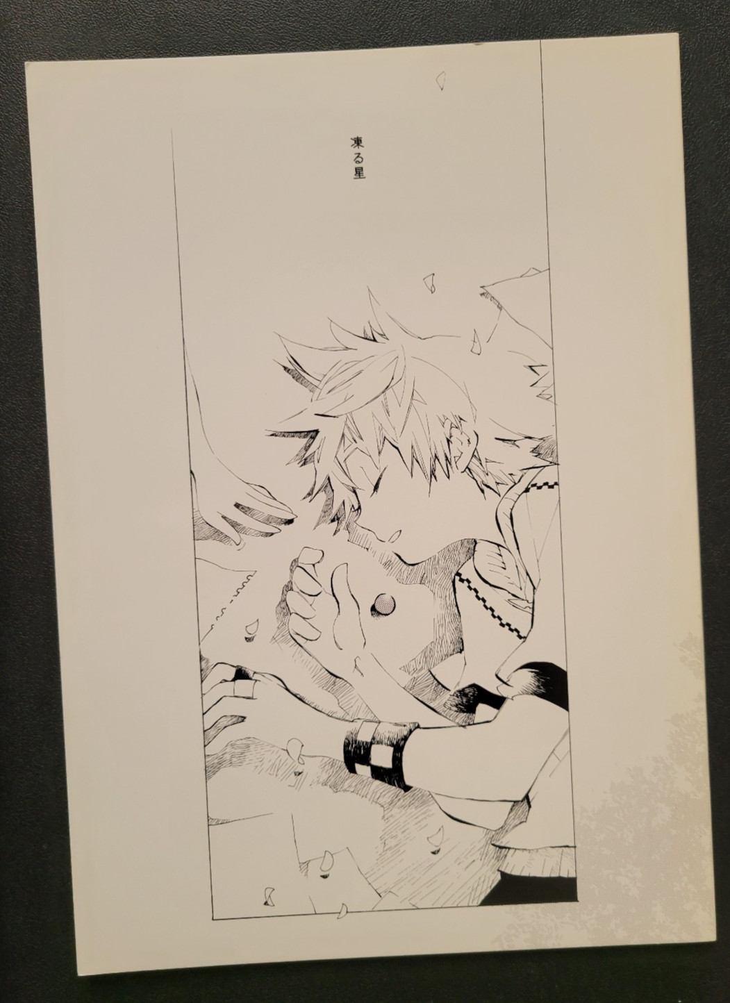 Kingdom Hearts II KH2 Drama Angst Amicizia Doujinshi Roxas - Kooru Hoshi