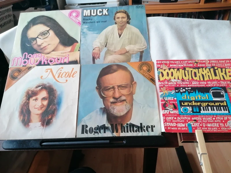 Alte Schallplatten verschiedene Sänger