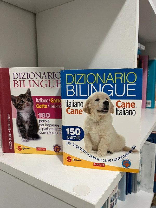 Dizionario Bilingue