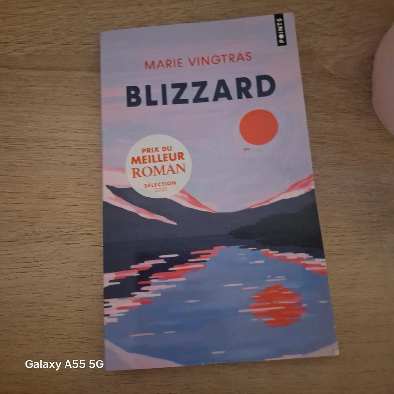 Livre Blizzard