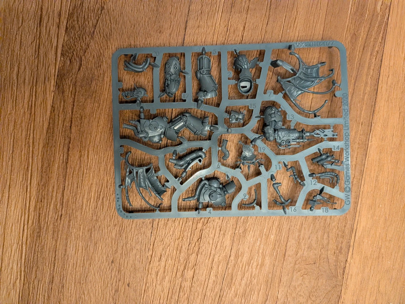Warhammer DG Seigneur de la Virulence